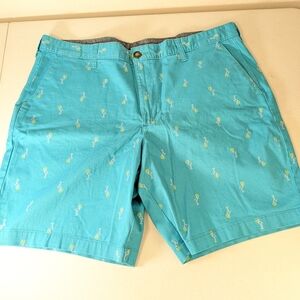 Turquoise Patterned Men's Shorts Size 38